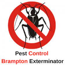 Pest Control Brampton