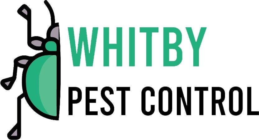 Pest Control Whitby