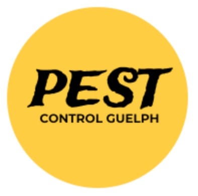 Pest Control Guelph